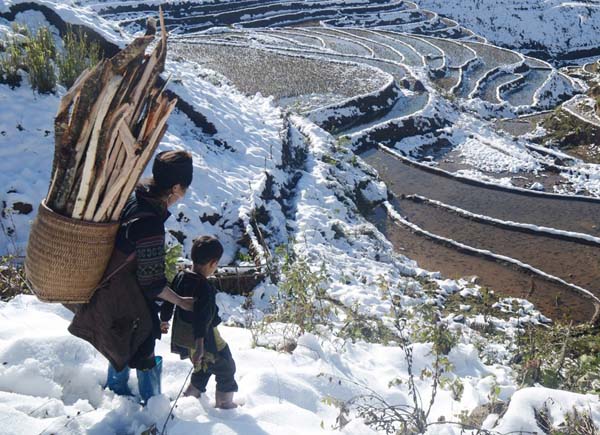 Sapa mùa đông chìm ngập trong màu tuyết trắng