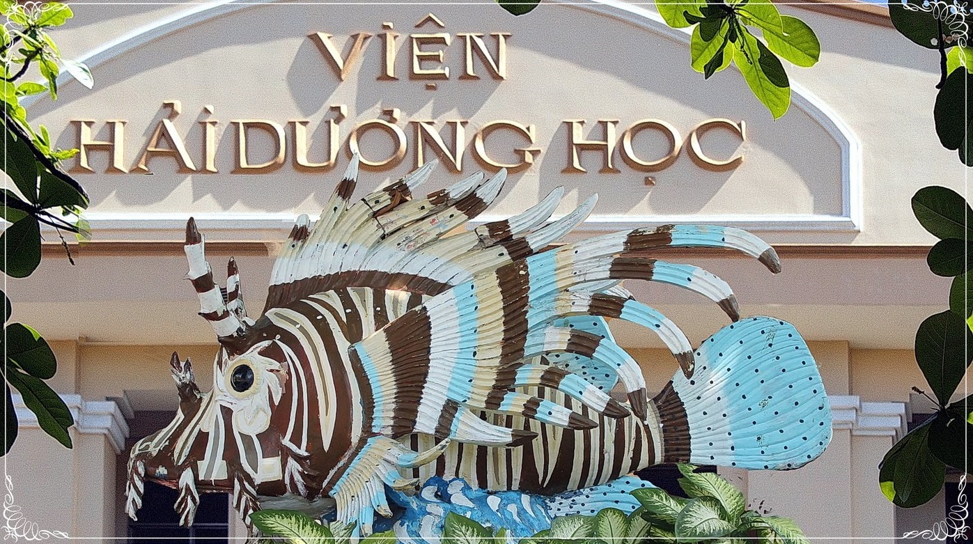 Hẳn bạn sẽ không thể bỏ qua Viện Hải Dương Học chứ?