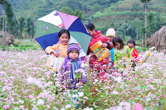 Trẻ em Đồng Văn Hà Giang trên đường tới trường