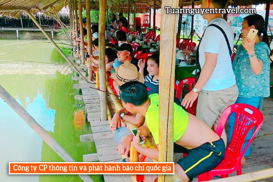 tour rừng dừa Bảy Mẫu