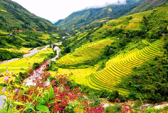 hình ảnh đẹp về sapa