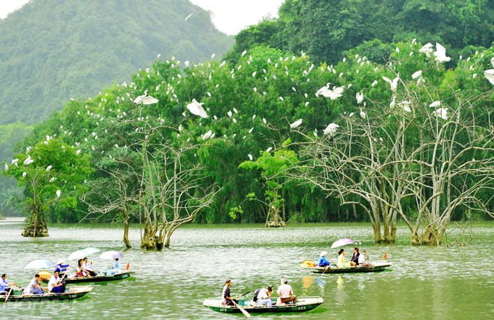 Khu du lịch vườn chim Thung Nham Ninh Bình 