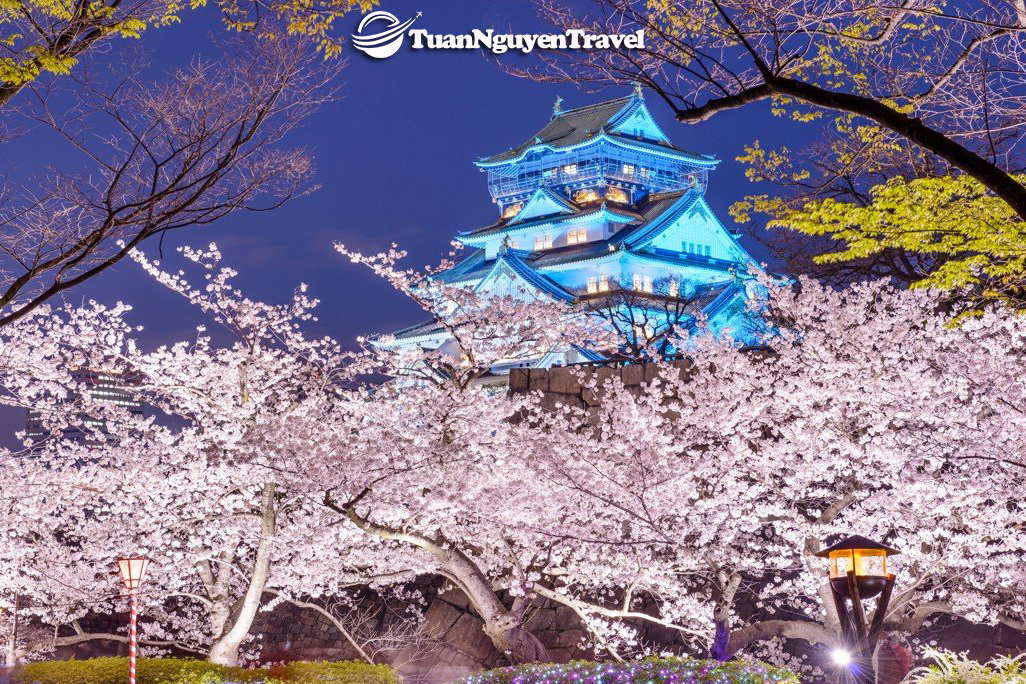 15 món ngon nổi tiếng nên thử khi du lịch Nhật Bản