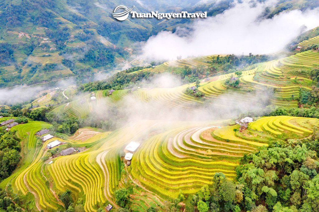 Mù Căng Chải mùa lúa chín - View triệu đô cho những đôi chân xê dịch