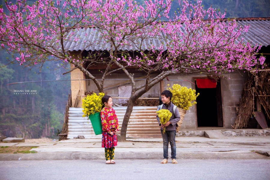 Tour Hà Giang 2 ngày 3 đêm "Siêu KM" -Nghỉ đêm tại Lô Lô Chải