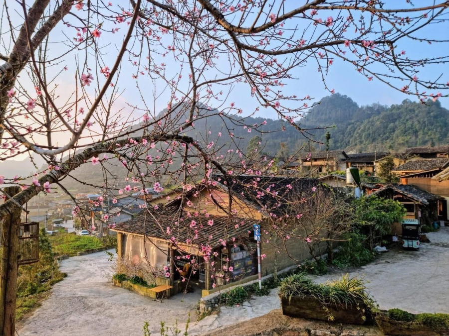 Tour Tết Âm Lịch Hà Giang- Cao Bằng trọn gói từ Đà Nẵng chỉ 8.390k 