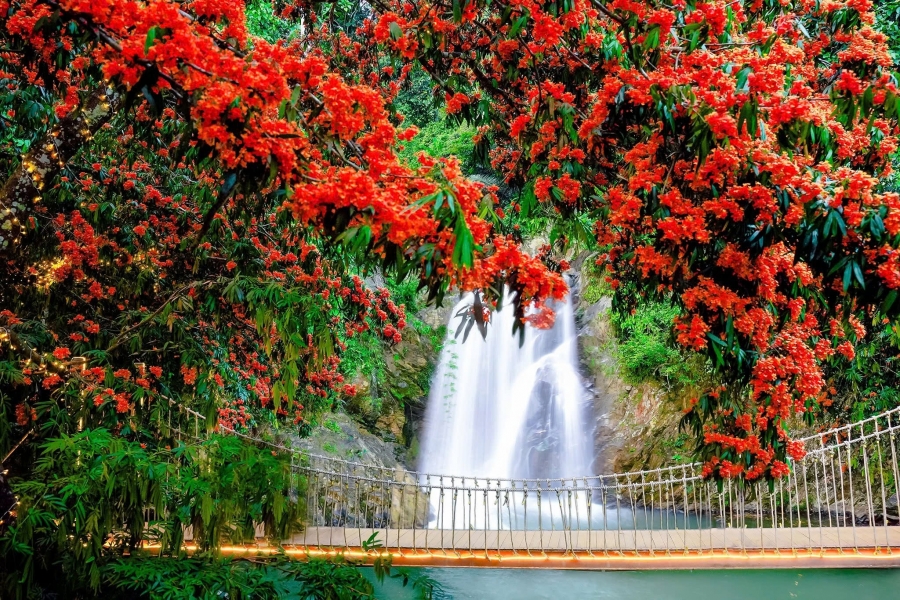 Tour Đà Nẵng Cổng trời Đông Giang 1 ngày chỉ 1.190k