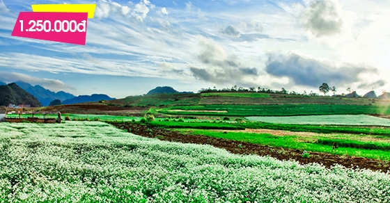 Tour Thung Nai - Mai Châu - Mộc Châu 2N1Đ