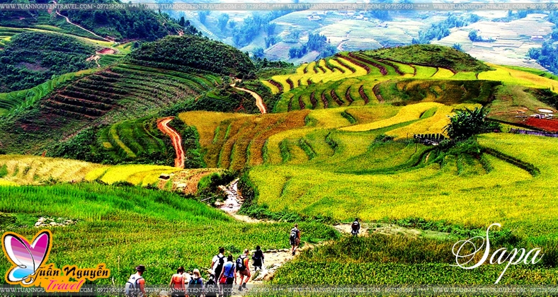 Tour Hà Nội - Ninh Bình - Tràng An - Sa Pa