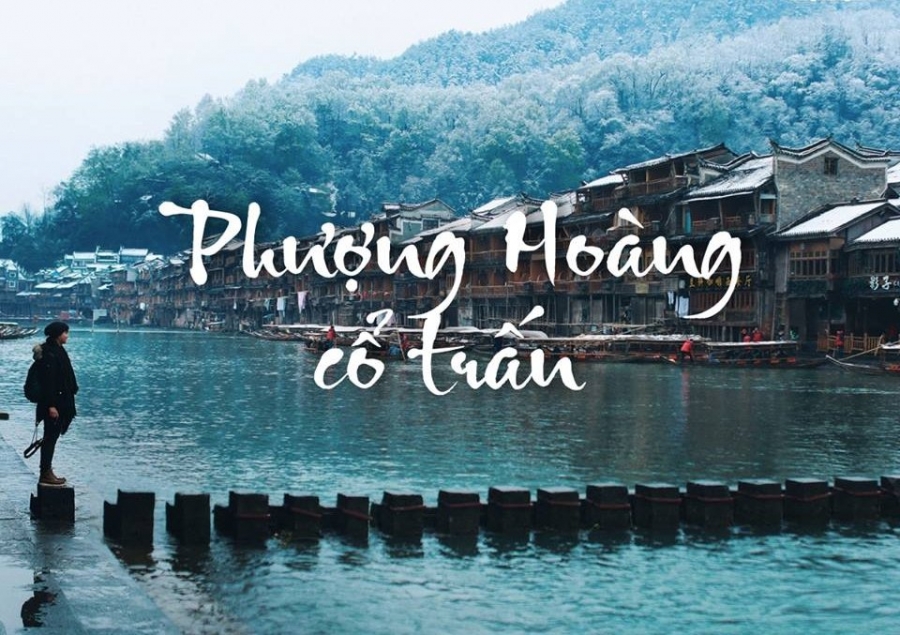 Káº¿t quáº£ hÃ¬nh áº£nh cho ÄÃ i loan phÆ°á»£ng hoÃ ng cá» tráº¥n