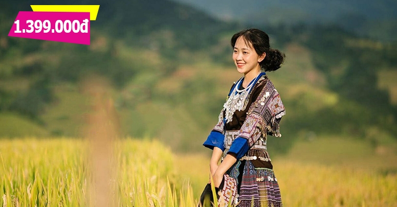 Tour Mù Cang Chải - Tú Lệ - Khau Phạ 2 ngày 1 đêm